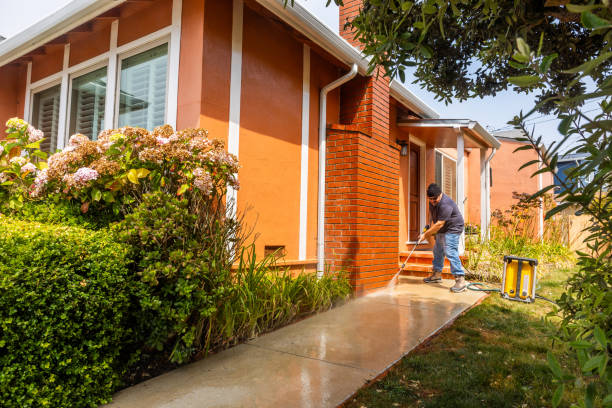 Best Exterior Home Cleaning  in La Porte City, IA